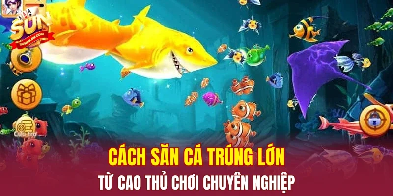 Cách săn cá trúng lớn từ cao thủ chơi chuyên nghiệp
