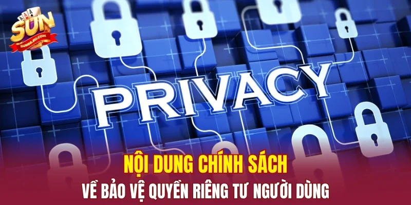 Nội dung chính sách về bảo vệ quyền riêng tư người dùng