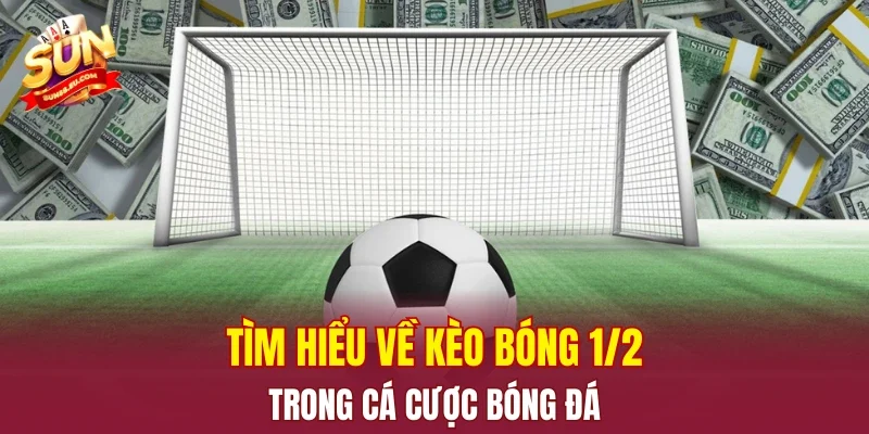 Tìm hiểu về kèo bóng 1/2 trong cá cược bóng đá